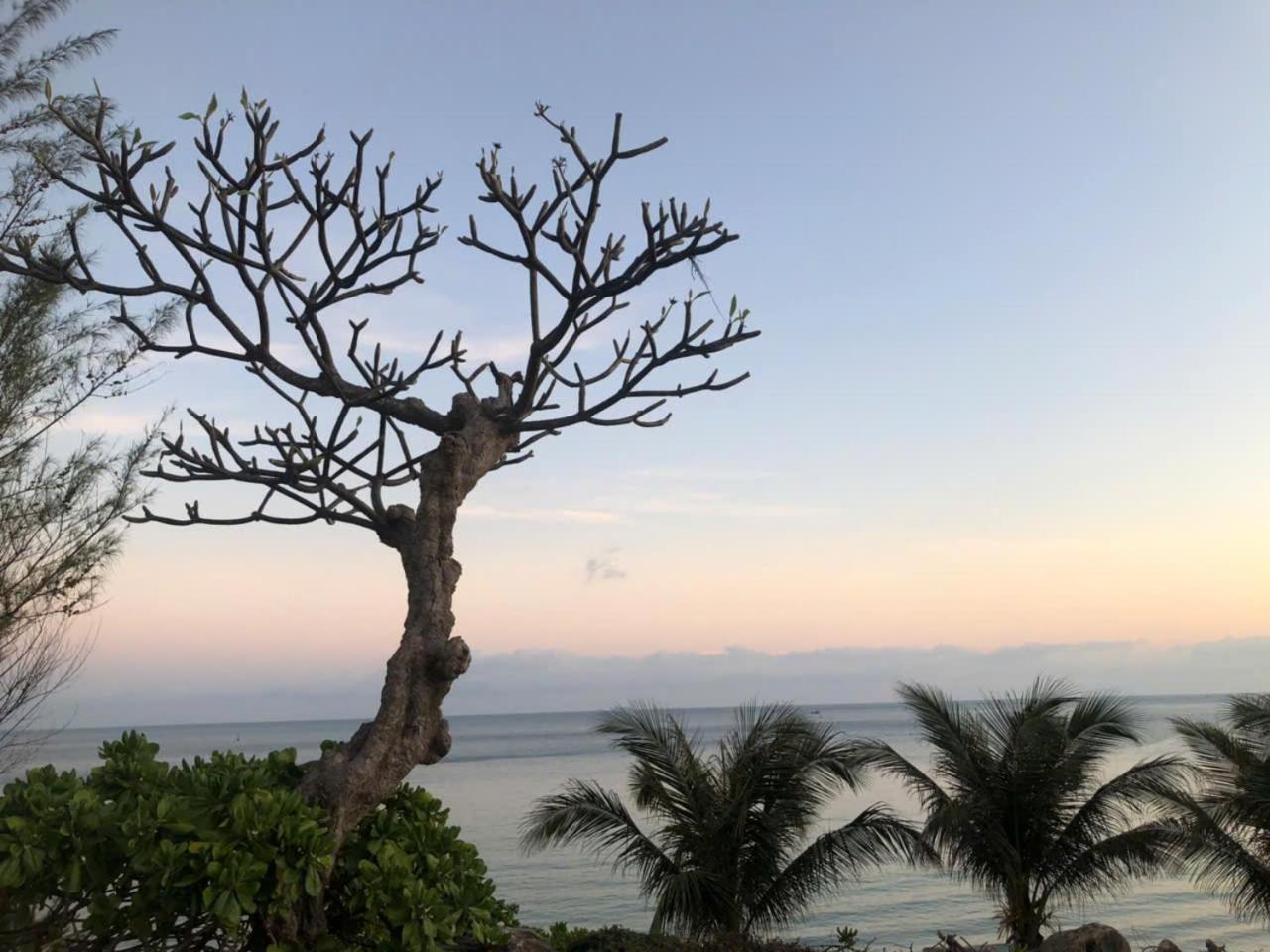 Orson Hotel & Resort Con Dao Chi Khu Co Ong Екстер'єр фото